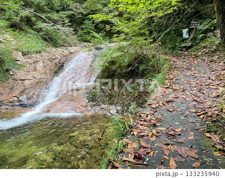 ナメラ滝。広島県安芸太田にある龍頭峡。 133235940