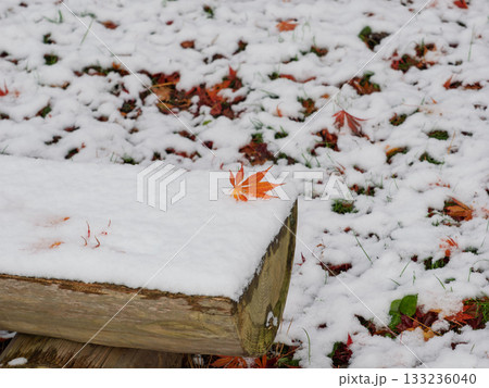 秋の記憶、冬の気配 秋の記憶、冬の気配 133236040