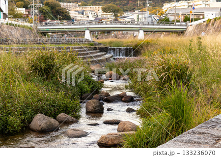 西宮・穏やかな夙川の流れ 133236070
