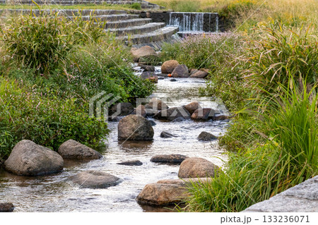 西宮・穏やかな夙川の流れ 133236071