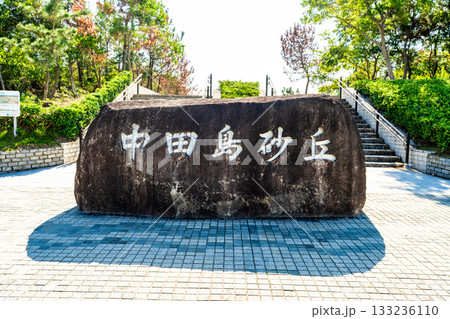 《静岡県》中田島砂丘・晴天下の風景 《静岡県》中田島砂丘・晴天下の風景 133236110