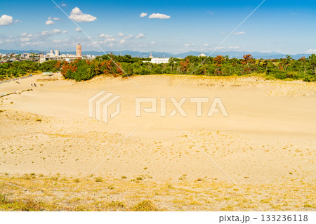 《静岡県》中田島砂丘・晴天下の風景 133236118