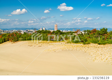 《静岡県》中田島砂丘・晴天下の風景 133236119