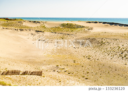 《静岡県》中田島砂丘・晴天下の風景 133236120