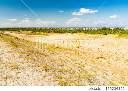 《静岡県》中田島砂丘・晴天下の風景 133236121