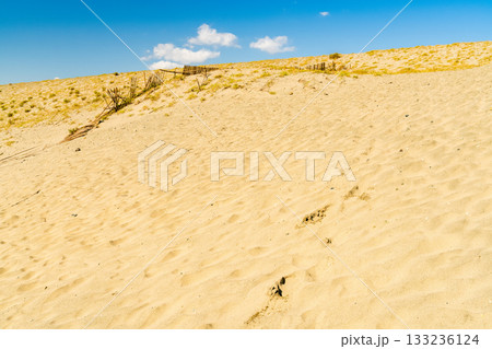 《静岡県》中田島砂丘・晴天下の風景 133236124