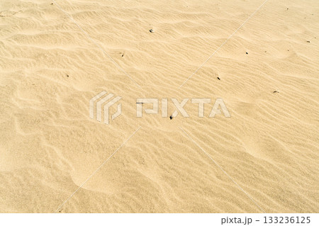 《静岡県》中田島砂丘・晴天下の風景 《静岡県》中田島砂丘・晴天下の風景 133236125