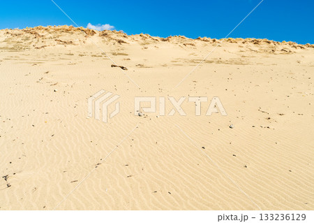 《静岡県》中田島砂丘・晴天下の風景 133236129