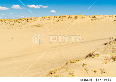 《静岡県》中田島砂丘・晴天下の風景 133236131