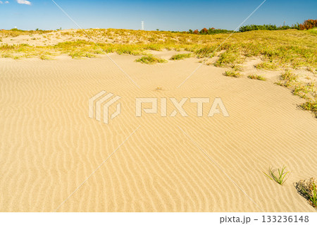 《静岡県》中田島砂丘・晴天下の風景 《静岡県》中田島砂丘・晴天下の風景 133236148