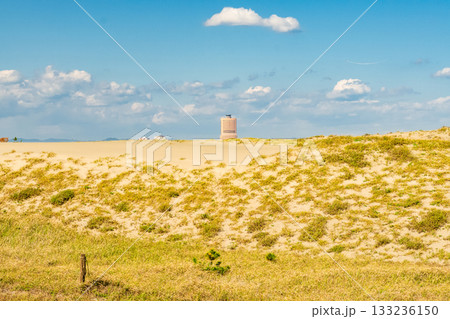 《静岡県》中田島砂丘・晴天下の風景 133236150