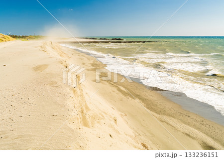 《静岡県》中田島砂丘・晴天下の風景 《静岡県》中田島砂丘・晴天下の風景 133236151