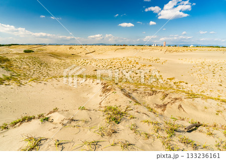《静岡県》中田島砂丘・晴天下の風景 133236161