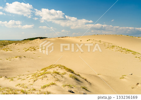 《静岡県》中田島砂丘・晴天下の風景 133236169