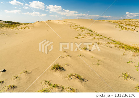 《静岡県》中田島砂丘・晴天下の風景 《静岡県》中田島砂丘・晴天下の風景 133236170