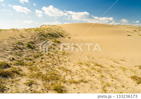 《静岡県》中田島砂丘・晴天下の風景 133236173