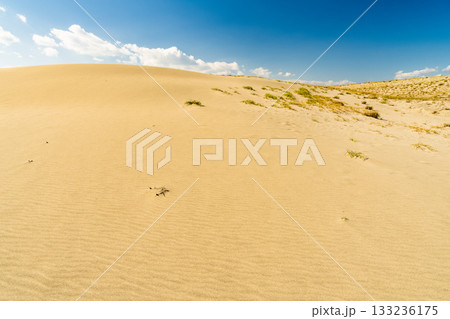 《静岡県》中田島砂丘・晴天下の風景 133236175