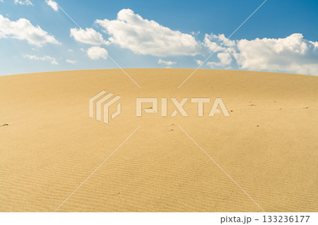《静岡県》中田島砂丘・晴天下の風景 133236177