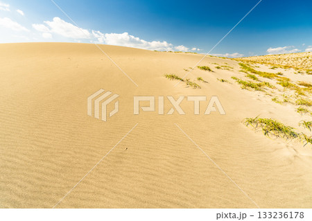 《静岡県》中田島砂丘・晴天下の風景 《静岡県》中田島砂丘・晴天下の風景 133236178