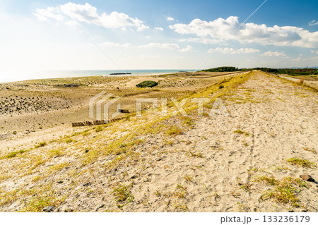 《静岡県》中田島砂丘・晴天下の風景 《静岡県》中田島砂丘・晴天下の風景 133236179