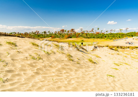 《静岡県》中田島砂丘・晴天下の風景 《静岡県》中田島砂丘・晴天下の風景 133236181