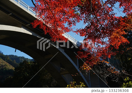 御岳渓谷の紅葉 133236308