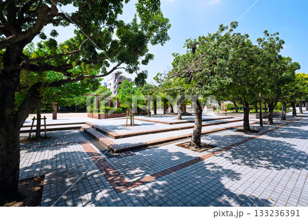 真田山公園の風景 真田山公園の風景 133236391