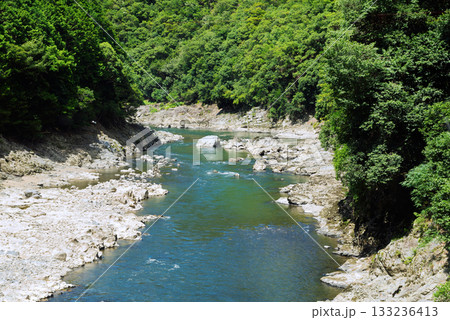 嵯峨野トロッコ列車の風景 133236413