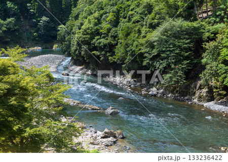 嵯峨野トロッコ列車の風景 嵯峨野トロッコ列車の風景 133236422