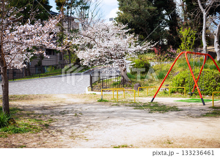 春の宰相山公園 133236461