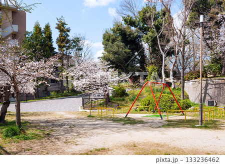 春の宰相山公園 133236462
