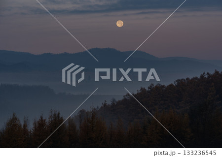 朝霧の丘 朝霧の丘 133236545