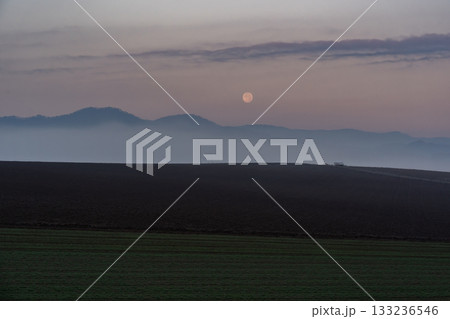 朝霧の丘 朝霧の丘 133236546