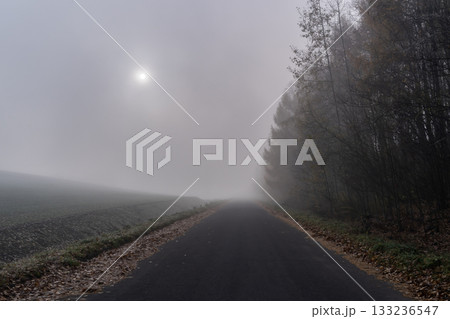 朝霧の丘 朝霧の丘 133236547