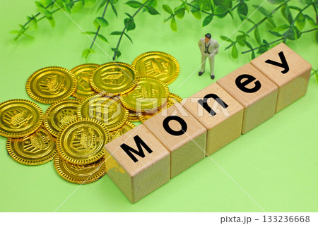 Money　マネーのイメージ 133236668