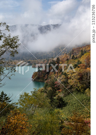 秘境湖オコタンペ湖 133236786