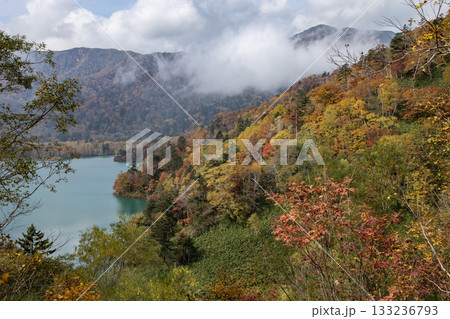 秘境湖オコタンペ湖 秘境湖オコタンペ湖 133236793