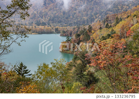 秘境湖オコタンペ湖 133236795