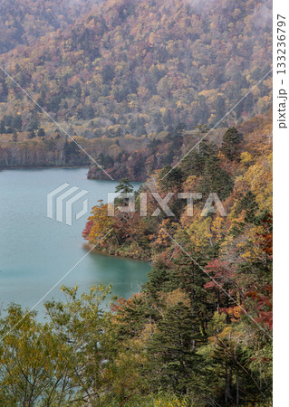 秘境湖オコタンペ湖 133236797