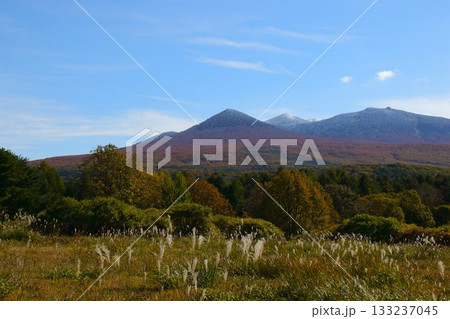 【青森県】八甲田山の紅葉 【青森県】八甲田山の紅葉 133237045