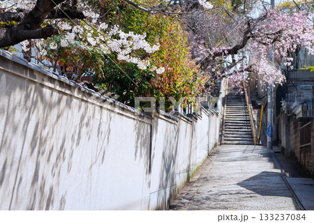 春の口縄坂の風景 133237084