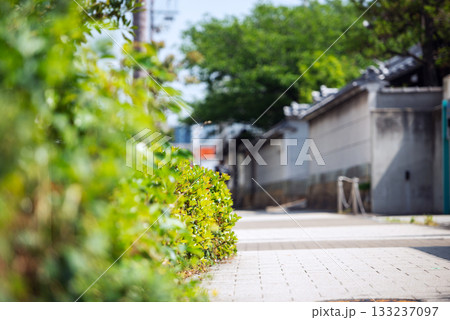 松屋町筋の風景 133237097