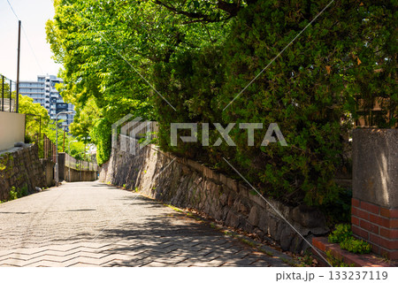 愛染坂の風景 133237119