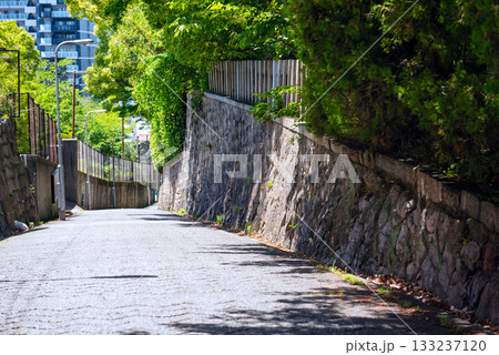 愛染坂の風景 133237120