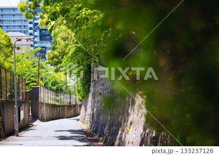 愛染坂の風景 133237126