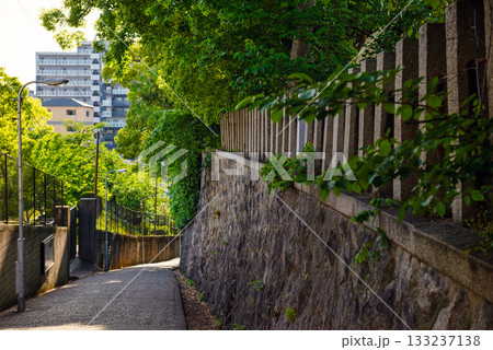 愛染坂の風景 133237138
