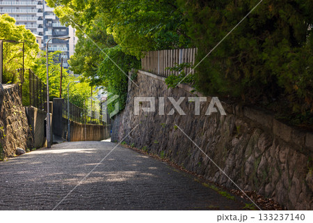 愛染坂の風景 133237140