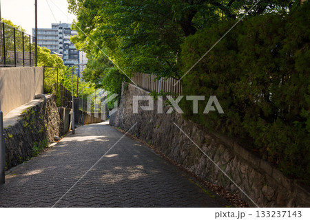 愛染坂の風景 133237143