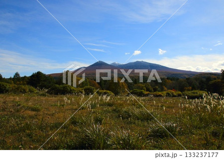 【青森県】八甲田山の紅葉 133237177