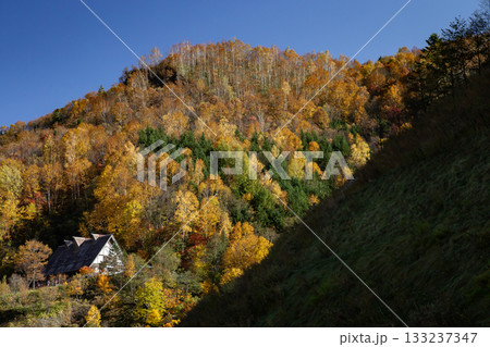 豊平峡の紅葉 豊平峡の紅葉 133237347